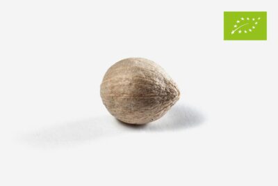 COLIN Poivre blanc des jardins de Kandy Bio