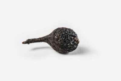 COLIN Poivre sauvage de Voatsiperifery